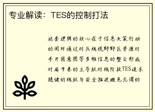 专业解读：TES的控制打法