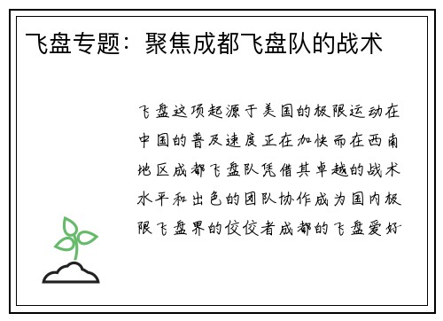 飞盘专题：聚焦成都飞盘队的战术