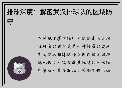 排球深度：解密武汉排球队的区域防守